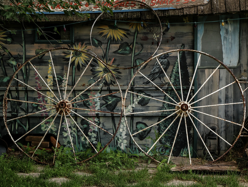 Wheels by Liz Hextall